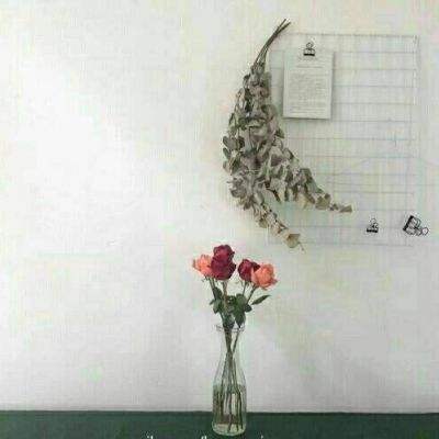 桃色恋人2内购版下载